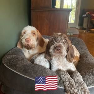 Meet your Posher, Nancy